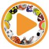 PlayButton